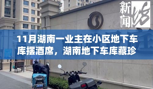 媒体报道 第453页