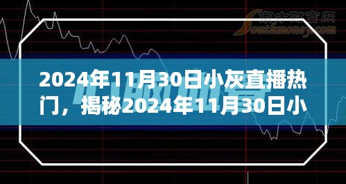 揭秘，2024年11月30日小灰直播三大看点火爆上线！