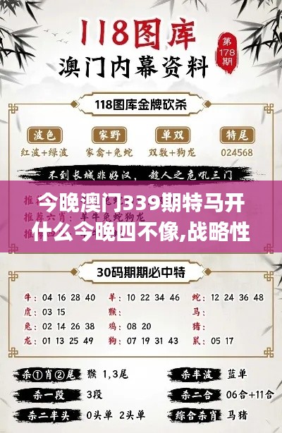 今晚澳门339期特马开什么今晚四不像,战略性方案优化_1080p98.589-7