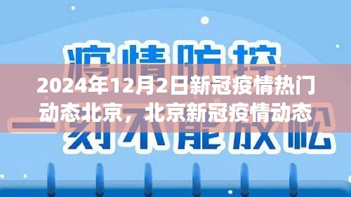 鸟革翬飞 第4页