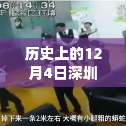 贵出贱收 第4页