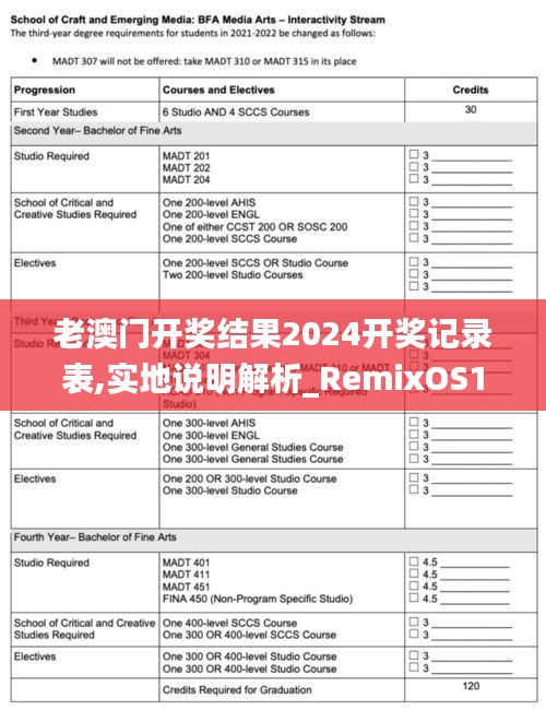 老澳门开奖结果2024开奖记录表,实地说明解析_RemixOS10.589