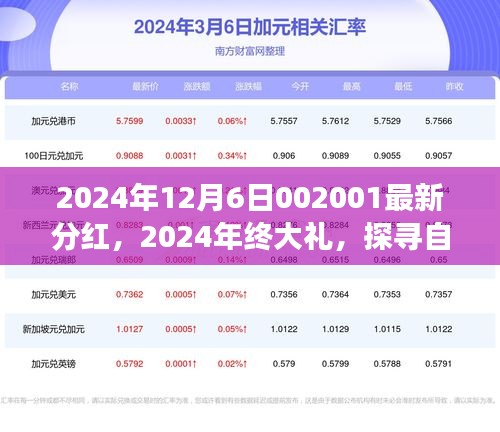 探寻自然美景之旅，最新分红背后的心灵之旅与年终大礼揭晓（2024年）