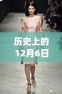 一花独放 第4页