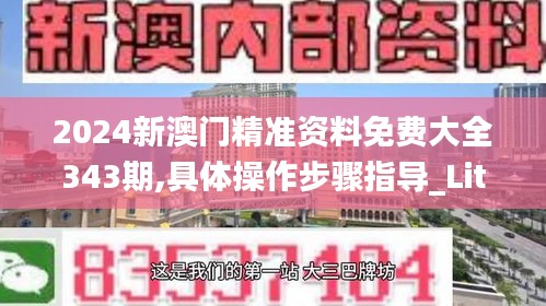 2024新澳门精准资料免费大全343期,具体操作步骤指导_Lite9.285
