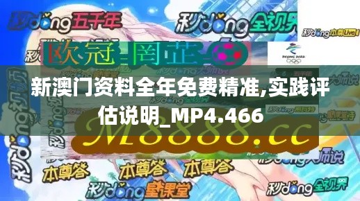 新澳门资料全年免费精准,实践评估说明_MP4.466