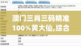 澳门三肖三码精准100%黄大仙,综合评估解析说明_Plus10.763