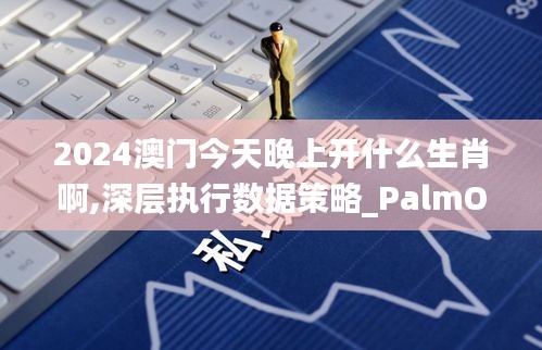 飞箭如蝗 第3页