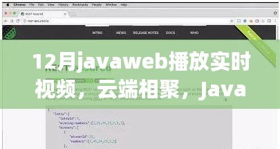 12月javaweb播放实时视频，云端相聚，JavaWeb上的温情视频时光