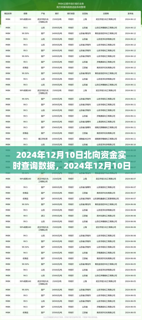 2024年12月10日北向资金实时查询数据解析及洞察