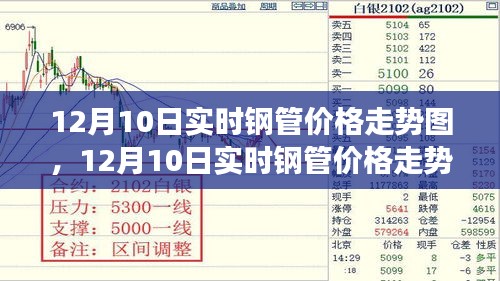 小鸟伊人 第3页