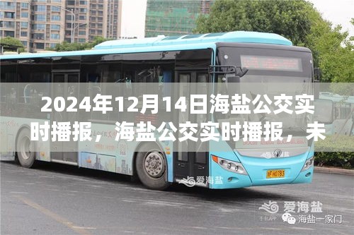 张灯结彩 第3页