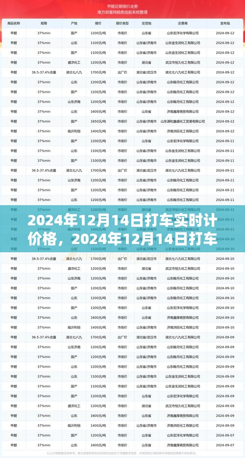 2024年12月14日打车实时计价格分析与观点论述