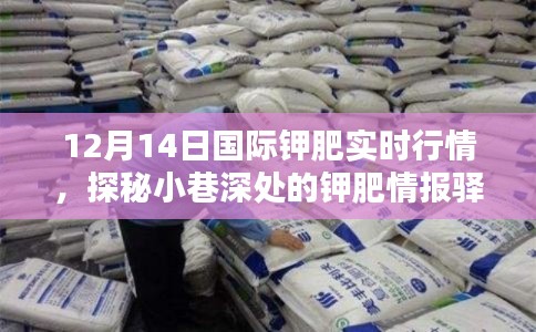 箪瓢陋室 第3页