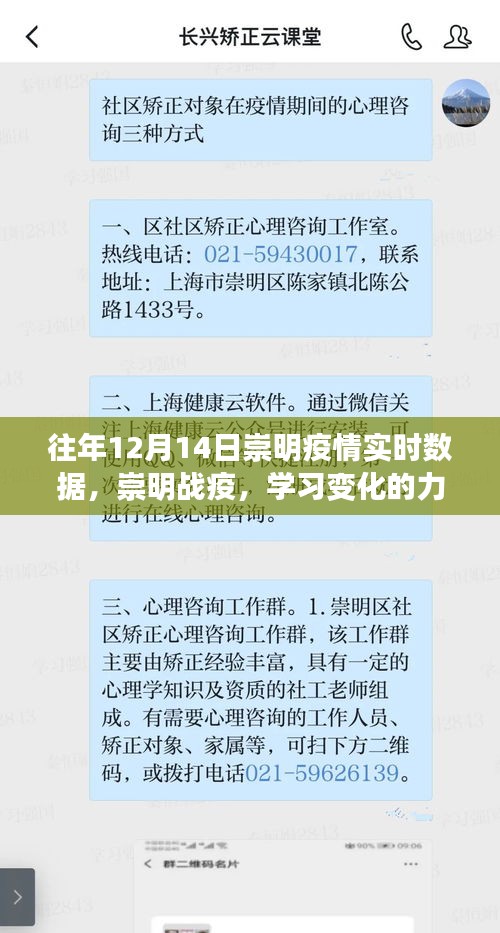 不翼而飞 第2页