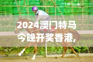 2024澳门特马今晚开奖香港,正确解答落实_豪华款3.915