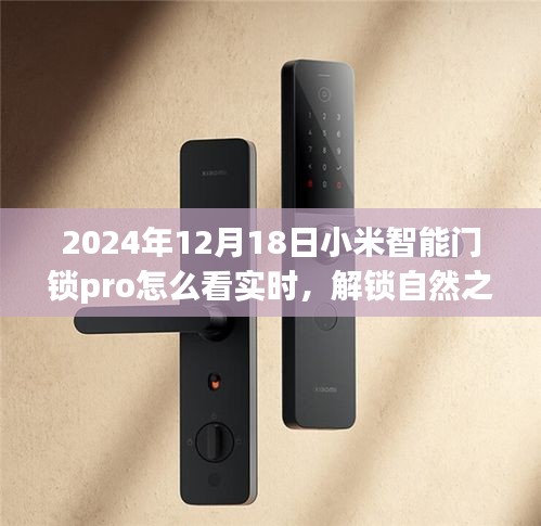穷鸟入怀 第3页