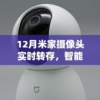 行将就木 第2页