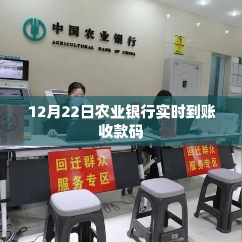 鞭驽策蹇 第2页