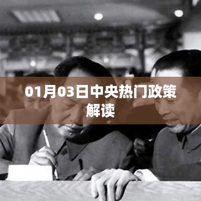 中央热门政策解读，最新动态与深度剖析（日期，01月03日）