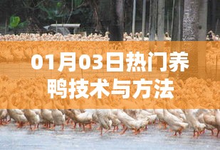 反正还淳 第2页