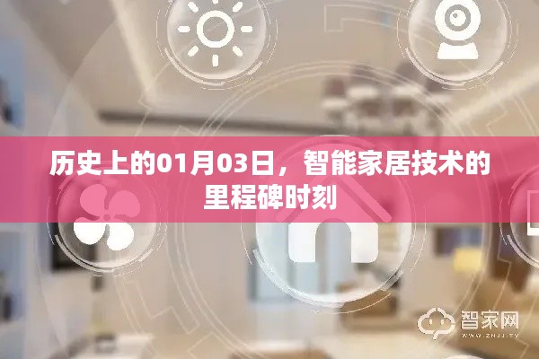 韦编三绝 第2页