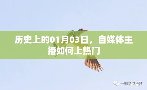 自媒体主播如何把握热门机遇，聚焦历史时刻的机遇与挑战