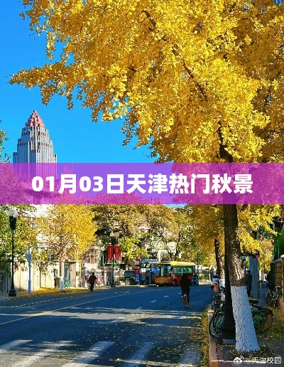 星星打烊 第2页
