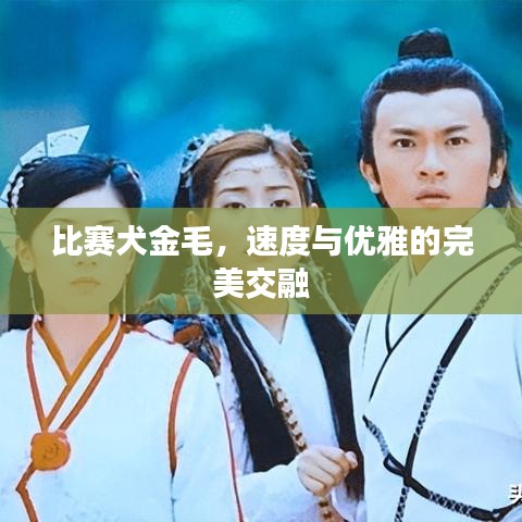 就楼磨刀 第2页