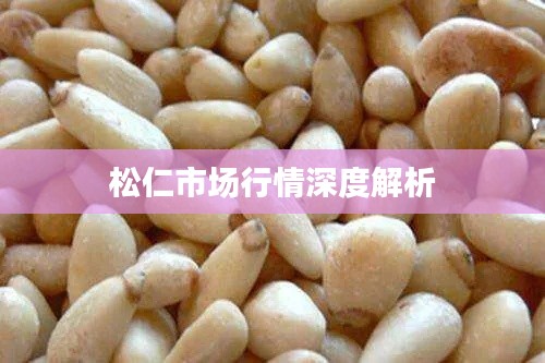 坌鸟先飞 第2页