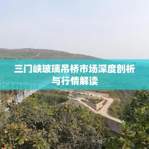 三门峡玻璃吊桥市场深度剖析与行情解读