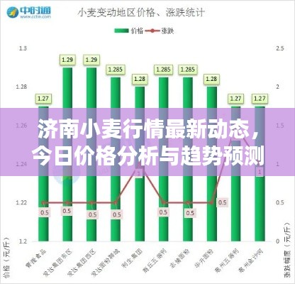 济南小麦行情最新动态，今日价格分析与趋势预测