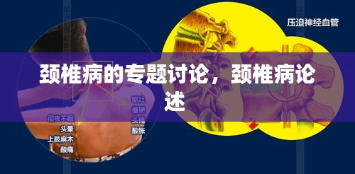 自作主张 第2页