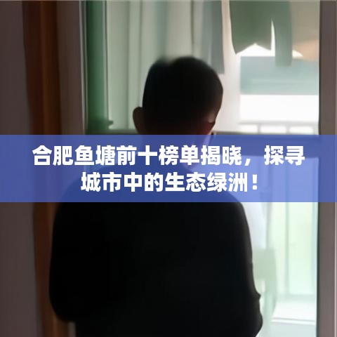 合肥鱼塘前十榜单揭晓，探寻城市中的生态绿洲！