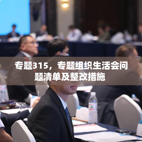 专题315，专题组织生活会问题清单及整改措施 