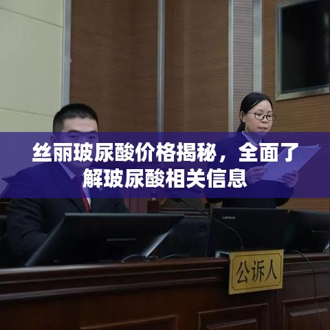 丝丽玻尿酸价格揭秘，全面了解玻尿酸相关信息