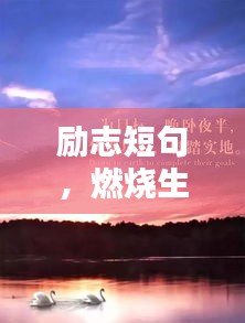 第191页
