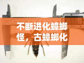 七上八下