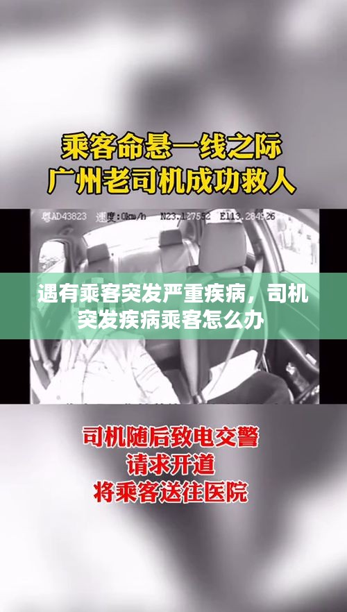 纲举目张