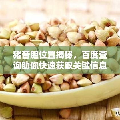 朱唇粉面