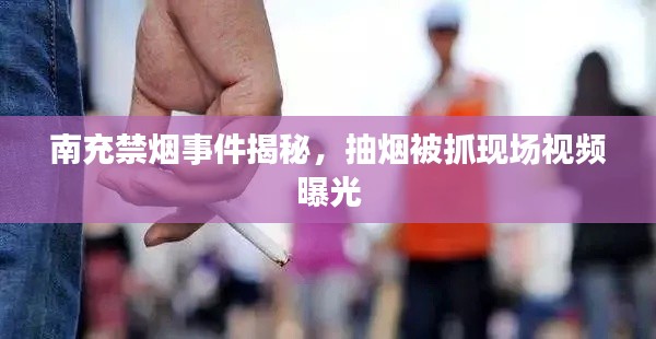 惊弓之鸟