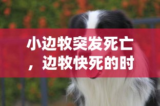 张口结舌
