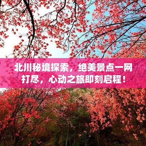 龙飞凤舞