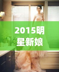开张圣听