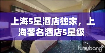 拾金不昧