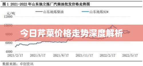 今日芹菜价格走势深度解析