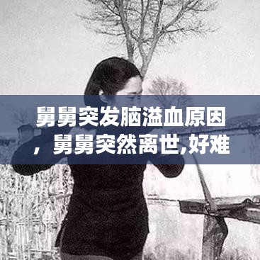 栖冲业简