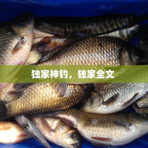 张弓挟矢