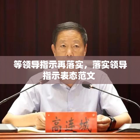 等领导指示再落实，落实领导指示表态范文 