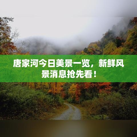 天南地北
